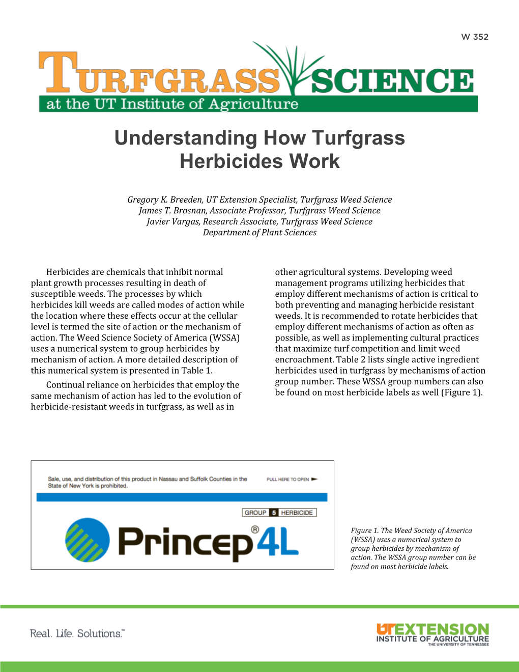 Understanding How Turfgrass Herbicides Work