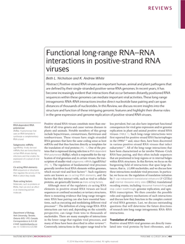 Functional Long-Range RNA–RNA Interactions in Positive-Strand RNA Viruses