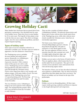 Growing Holiday Cacti Many Families Have Heirlooms That Are Passed Down from There Are Also a Number of Hybrid Cultivars Generation to Generation