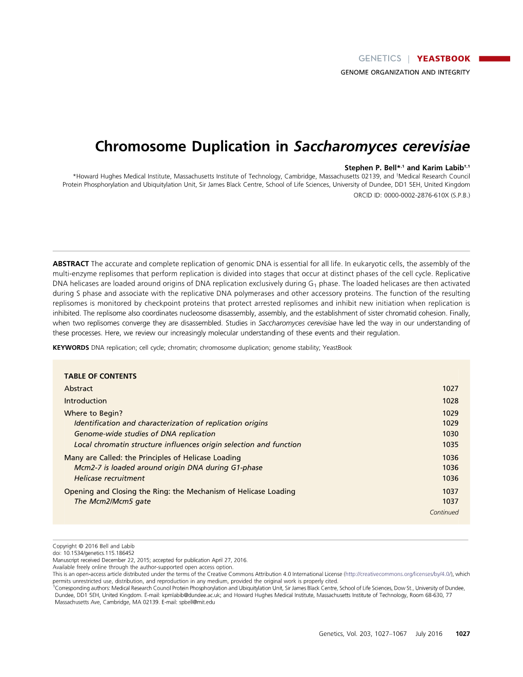 Chromosome Duplication in Saccharomyces Cerevisiae