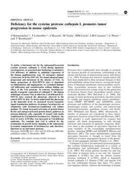 Deficiency for the Cysteine Protease Cathepsin L Promotes Tumor