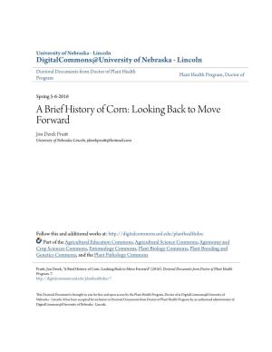 A Brief History of Corn: Looking Back to Move Forward Jon Derek Pruitt University of Nebraska-Lincoln, Jderekpruitt@Hotmail.Com