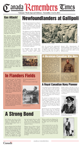 Newfoundlanders at Gallipoli a Strong Bond