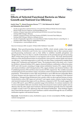 Effects of Selected Functional Bacteria on Maize Growth and Nutrient Use Efficiency