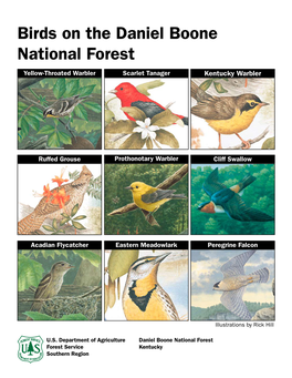 Birds on the Daniel Boone National Forest List