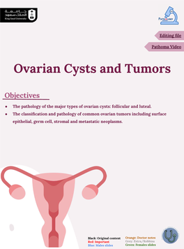 Ovarian Cysts and Tumors