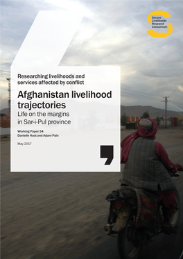 Afghanistan Livelihood Trajectories Life on the Margins in Sar-I-Pul Province