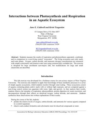 Interactions Between Photosynthesis and Respiration in an Aquatic Ecosystem