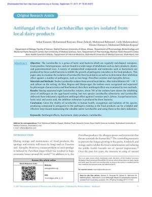 Antifungal Effects of Lactobacillus Species Isolated from Local Dairy Products