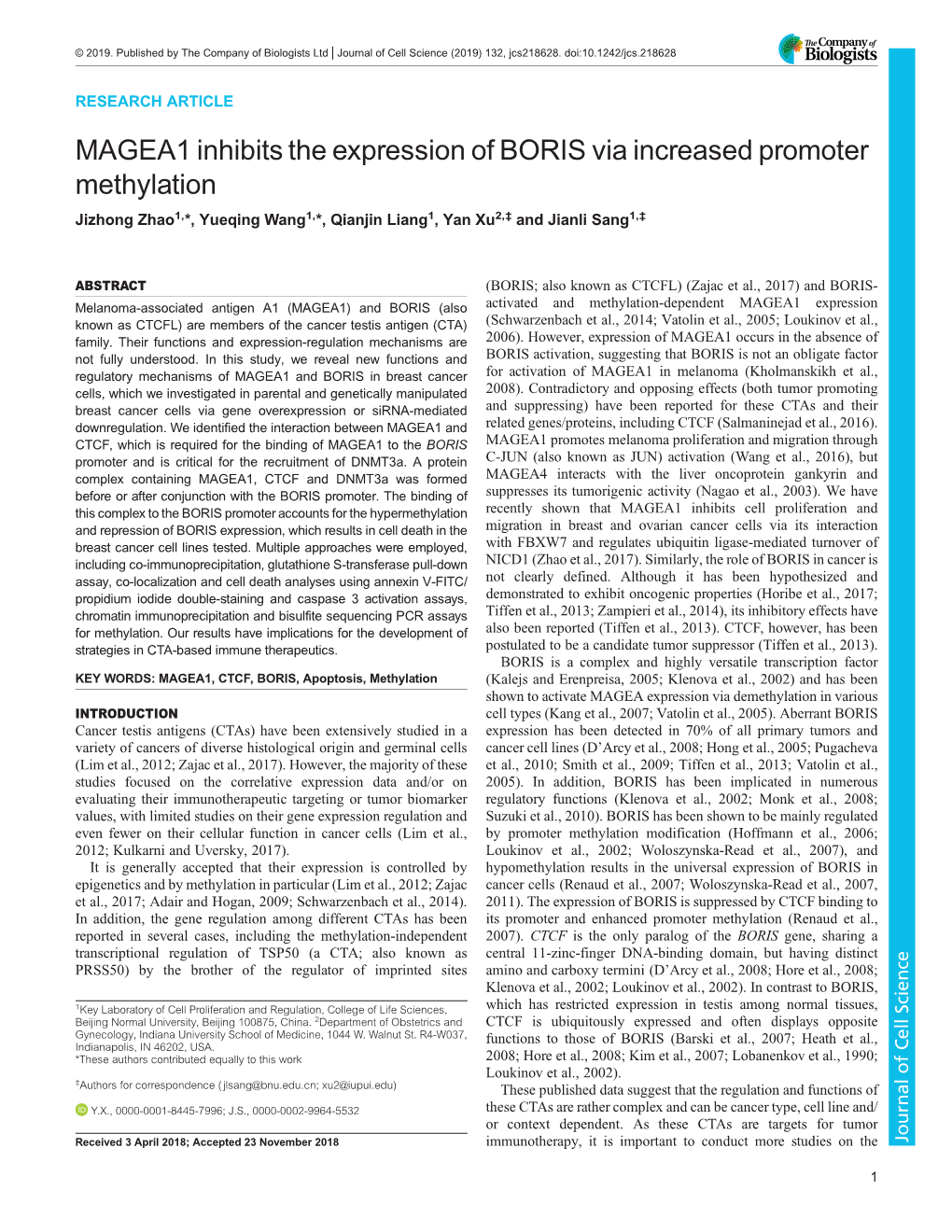 MAGEA1 Inhibits the Expression of BORIS Via Increased Promoter Methylation Jizhong Zhao1,*, Yueqing Wang1,*, Qianjin Liang1, Yan Xu2,‡ and Jianli Sang1,‡