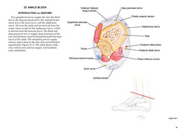 22. Ankle Block