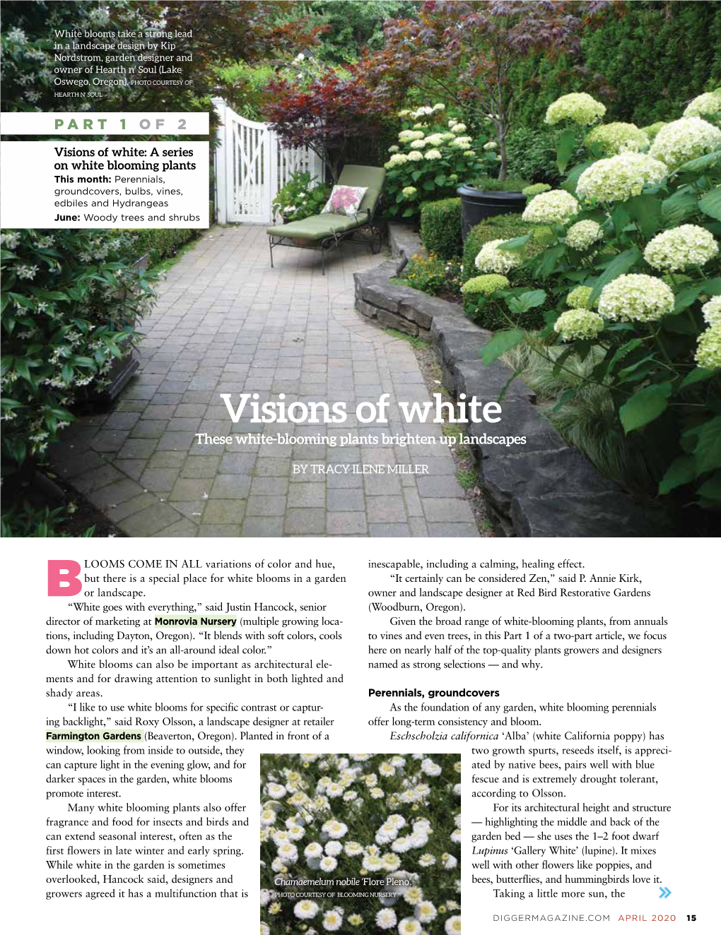 Visions of White: a Series on White Blooming Plants This Month: Perennials, Groundcovers, Bulbs, Vines, Edbiles and Hydrangeas June: Woody Trees and Shrubs