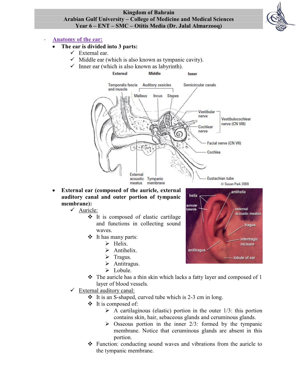 SMC – Otitis Media (Dr