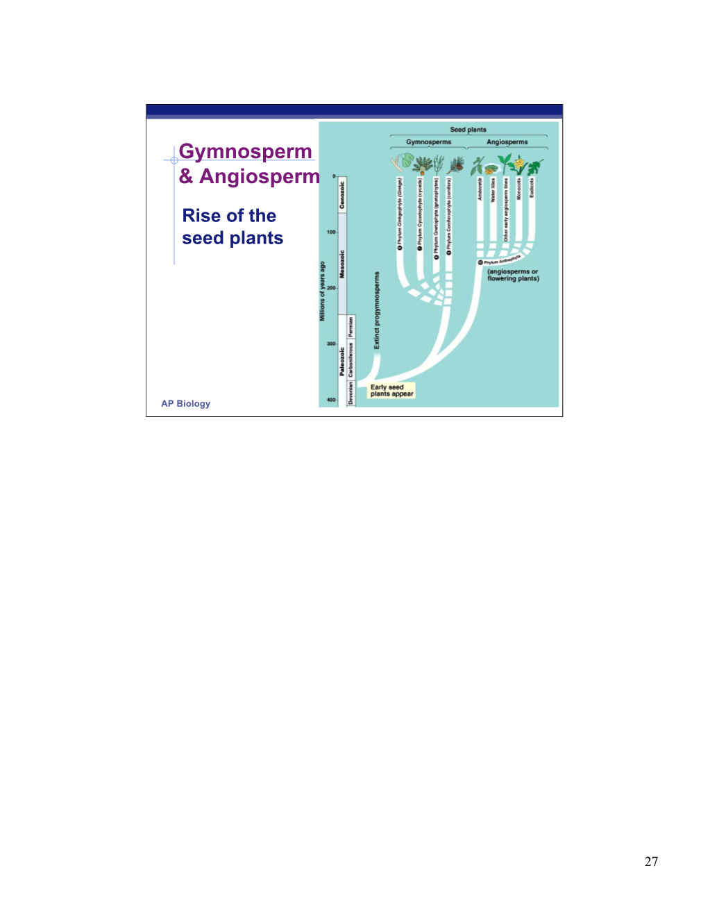 Gymnosperm & Angiosperm