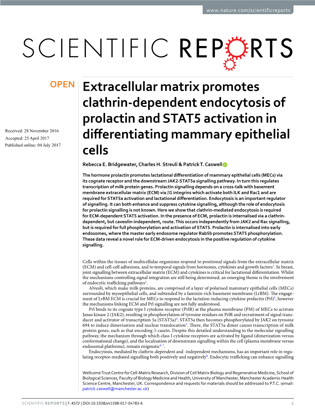 Extracellular Matrix Promotes Clathrin-Dependent Endocytosis Of