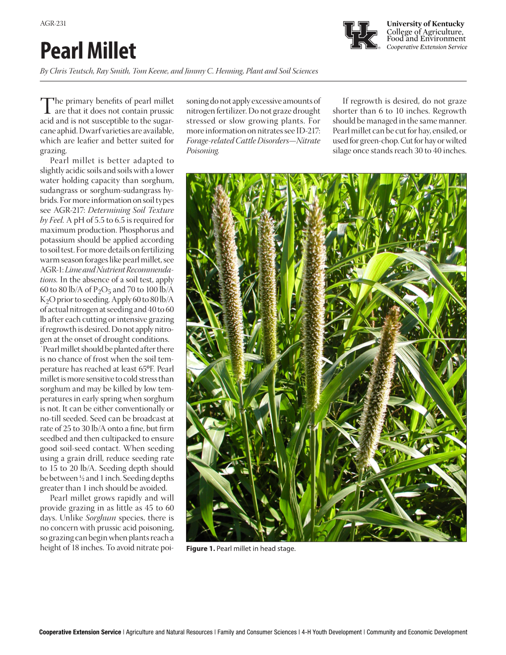 Pearl Millet Cooperative Extension Service by Chris Teutsch, Ray Smith, Tom Keene, and Jimmy C