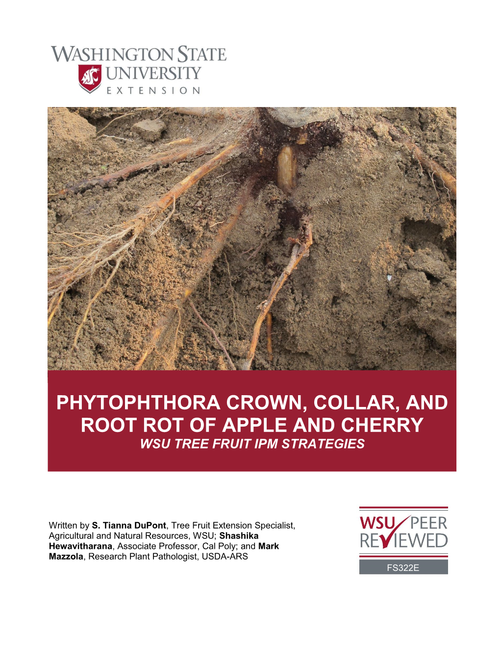 Phytophthora Crown, Collar, and Root Rot of Apple and Cherry Wsu Tree Fruit Ipm Strategies