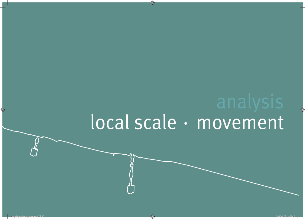 Local Scale Analysis