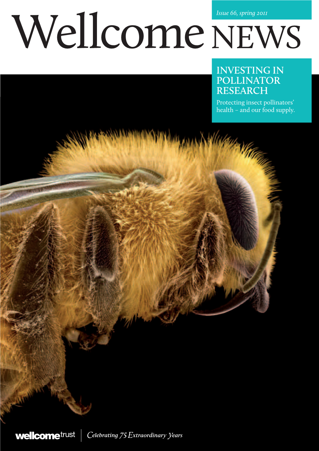 INVESTING in POLLINATOR RESEARCH Protecting Insect Pollinators’ Health – and Our Food Supply
