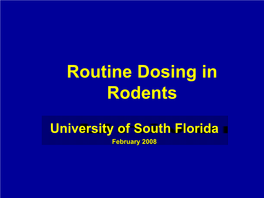 Routine Dosing in Rodents
