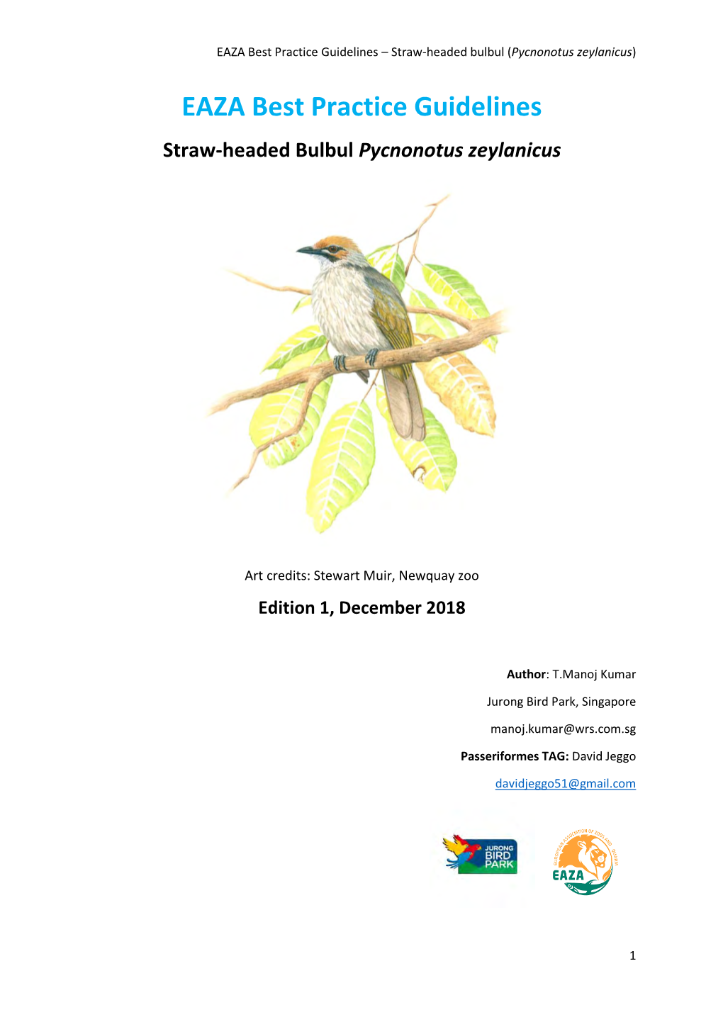 2020 Pycnonotus Zeylanicus (Straw-Headed Bulbul) EAZA Best