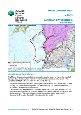 Marine Character Areas MCA 15 CARDIGAN BAY (NORTH)