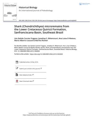 Shark (Chondrichthyes) Microremains from the Lower Cretaceous Quiricó Formation, Sanfranciscana Basin, Southeast Brazil