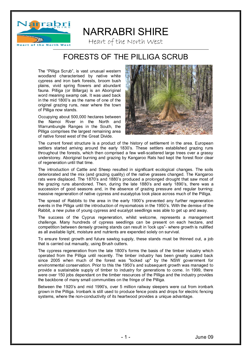 Forests of the Pilliga Scrub