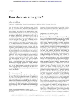 How Does an Axon Grow?