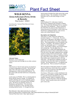 Wild Senna (Senna Hebecarpa) Plant Fact Sheet