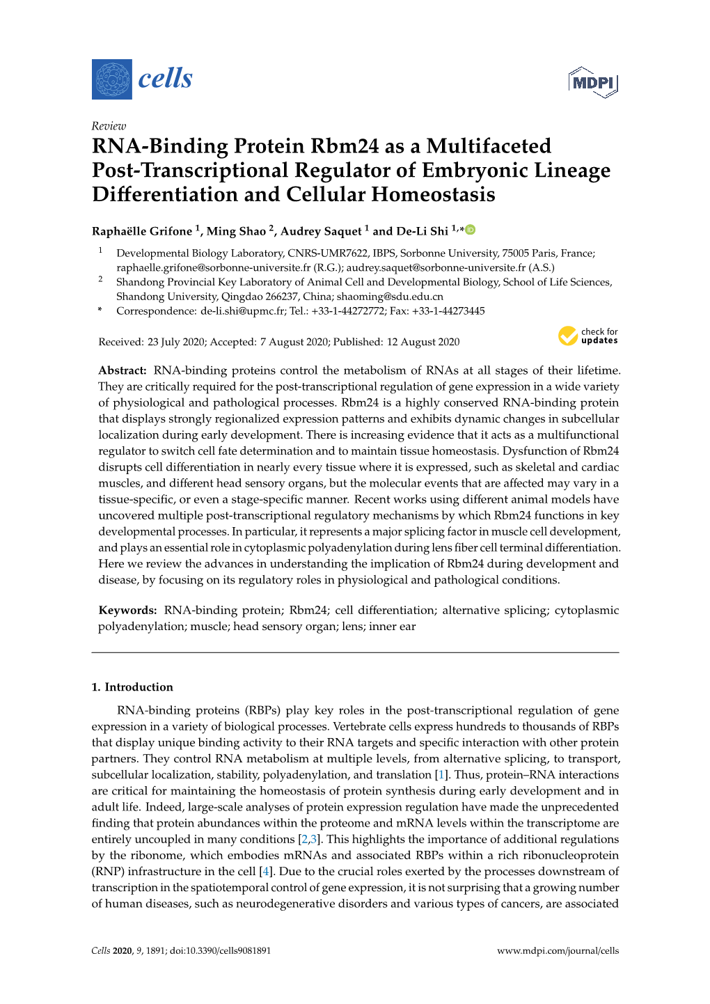 RNA-Binding Protein Rbm24 As a Multifaceted Post-Transcriptional Regulator of Embryonic Lineage Diﬀerentiation and Cellular Homeostasis