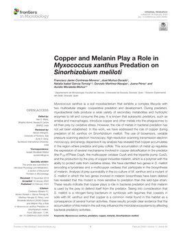 Copper and Melanin Play a Role in Myxococcus Xanthus Predation on Sinorhizobium Meliloti