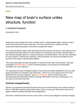 New Map of Brain's Surface Unites