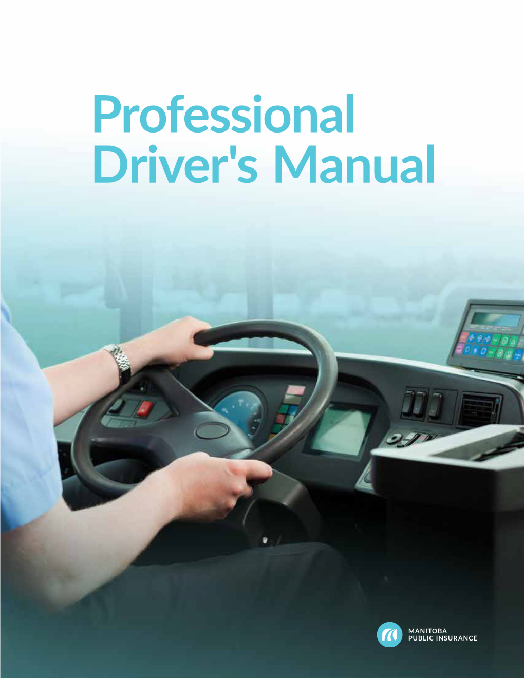 Professional Driver's Manual