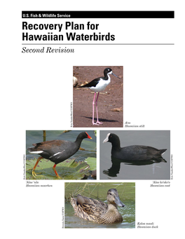 Recovery Plan for Hawaiian Waterbirds, Second Revision