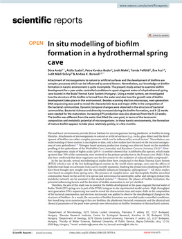 In Situ Modelling of Biofilm Formation in a Hydrothermal Spring Cave