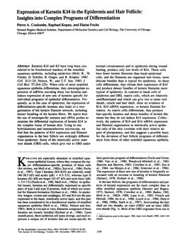 Expression of Keratin K14 in the Epidermis and Hair Follicle: Insights Into Complex Programs of Differentiation Pierre A