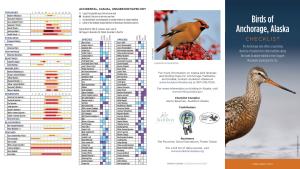 Birds of Anchorage Checklist