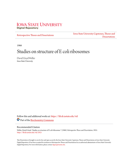 Studies on Structure of E Coli Ribosomes David Lloyd Weller Iowa State University