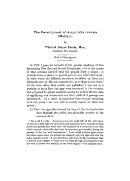 The Development of Amphibola Crenata (Martyn)