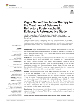 Vagus Nerve Stimulation Therapy for the Treatment of Seizures in Refractory Postencephalitic Epilepsy: a Retrospective Study