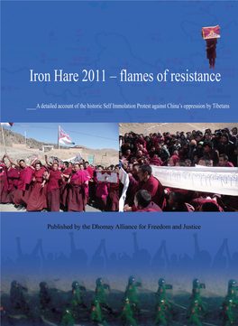 Iron Hare 2011: Flames of Resistance
