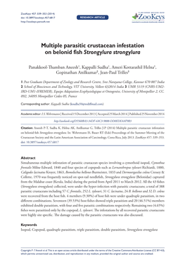 Multiple Parasitic Crustacean Infestation on Belonid Fish Strongylura Strongylura