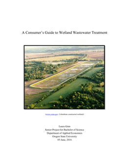 A Consumer's Guide to Wetland Wastewater Treatment