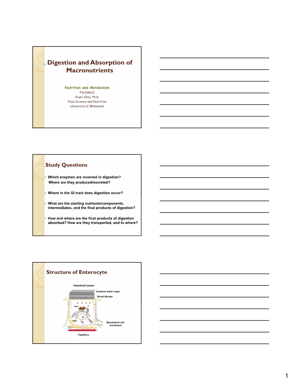 1 Digestion and Absorption of Macronutrients