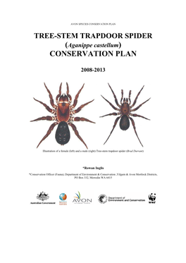 Avon Multi-Species Conservation Plan