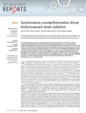 Iso-Luminance Counterillumination Drove Bioluminescent Shark Radiation