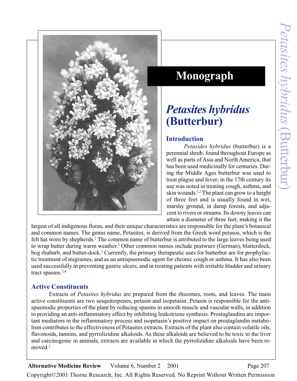 Petasites Hybridus Monograph
