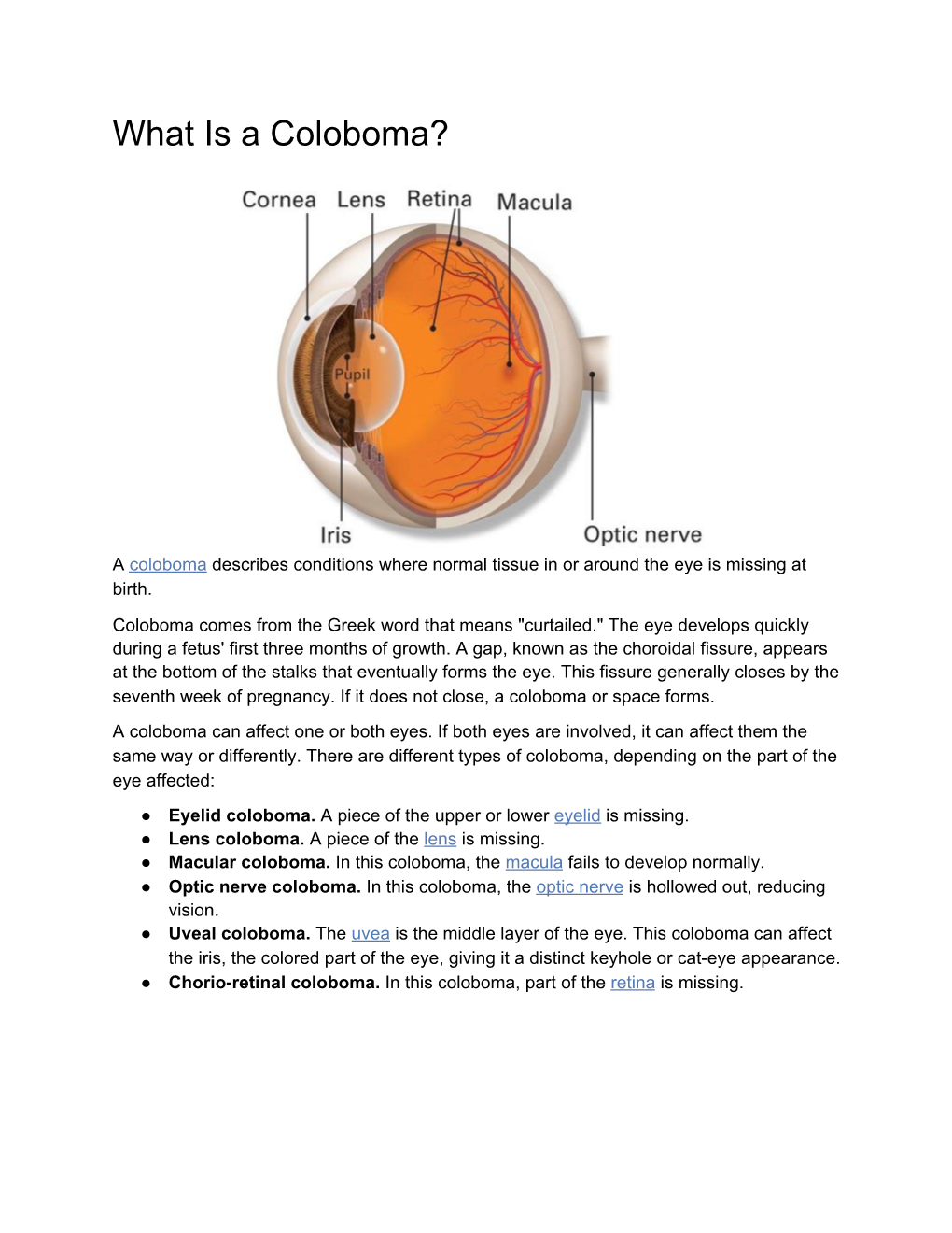 What Is a Coloboma?