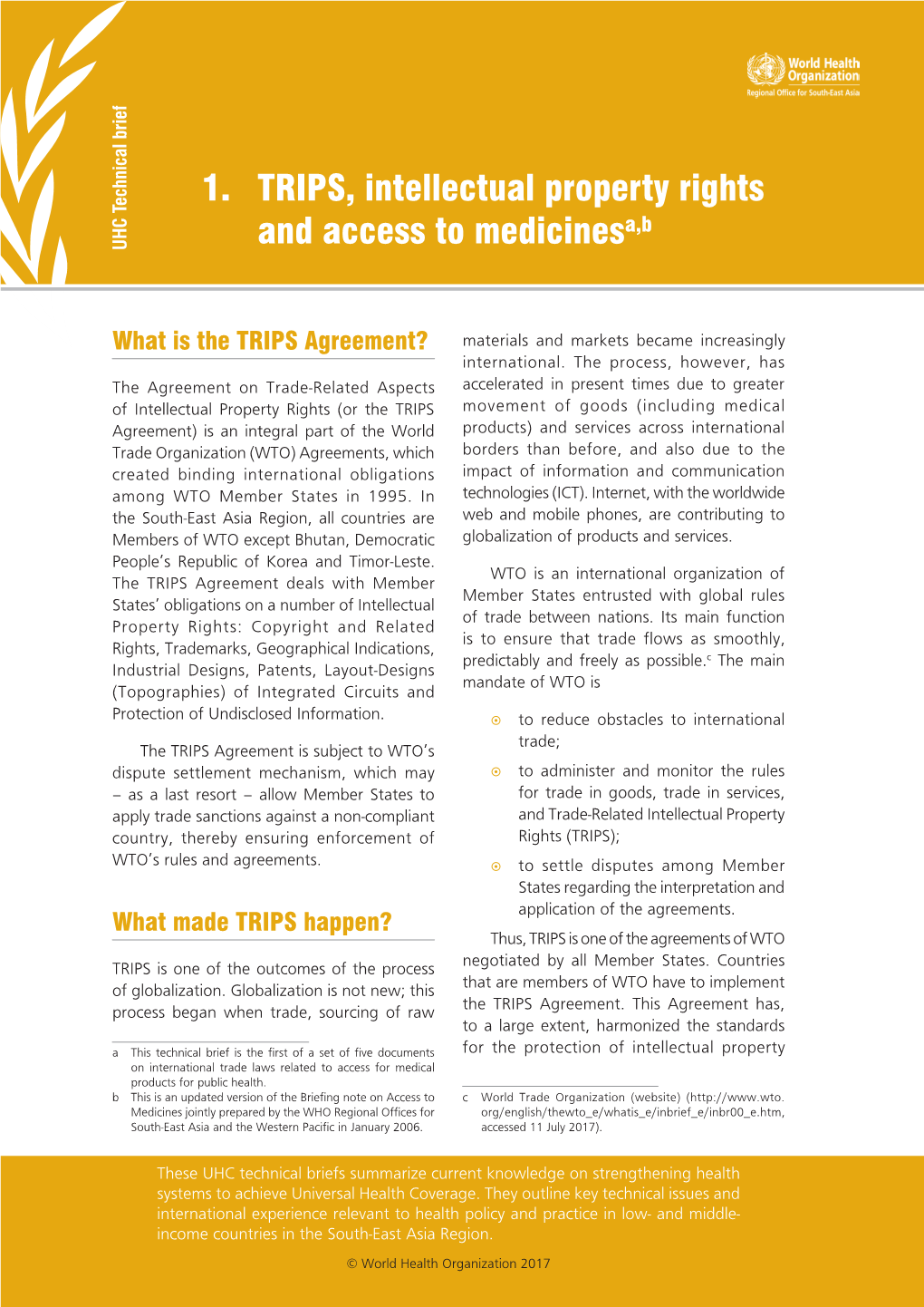 TRIPS, Intellectual Property Rights and Access to Medicines